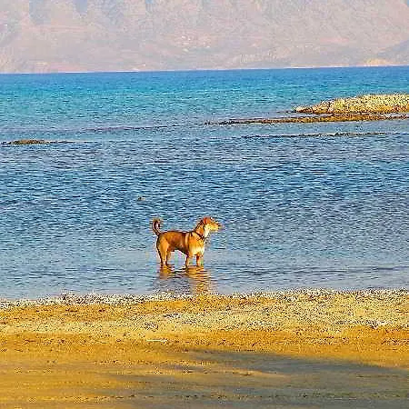Hotel Almond Tree Elounda (Crete)