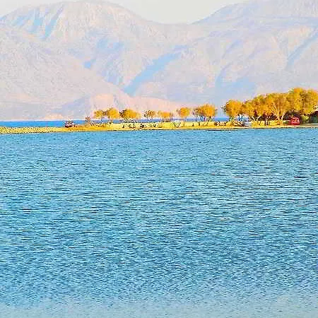Almond Tree Elounda (Crete)